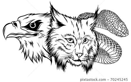 Lynx Wildcat eagle snake Logo Mascot 70245245