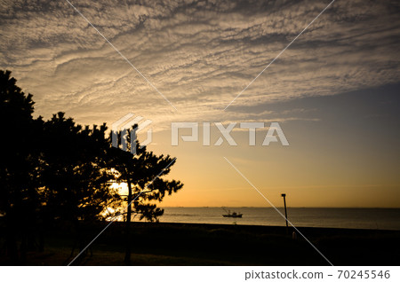 Urayasu City Comprehensive Park Urayasu City Comprehensive Park 70245546