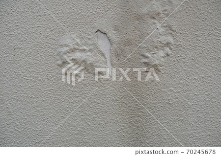 外牆塗料的剝落和漂浮 70245678