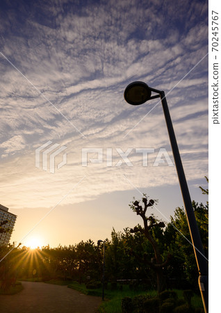 Urayasu City Comprehensive Park Urayasu City Comprehensive Park 70245767