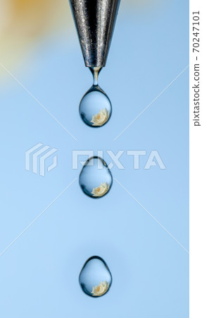 White rose seen through drops of water 70247101