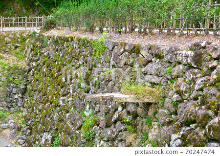 高知城堡石頭天溝 高知城堡石頭天溝 70247474