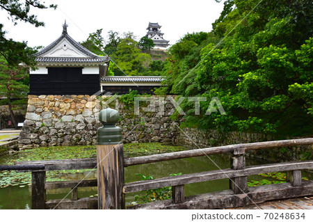 Kochi Castle 70248634
