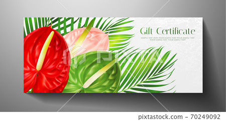 Gift certificate, Voucher with tropical exotic realistic asian flower bouquet - Anthurium andraeanum (flamingo flower) and green palm branch. Blank background template useful for wedding design, invit Gift certificate, Voucher with tropical exotic realistic asian flower bouquet - Anthurium andraeanum (flamingo flower) and green palm branch. Blank background template useful for wedding design, invit 70249092
