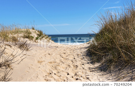Looking through the sand dunes on Montauk Beach at the Atlantic Ocean Looking through the sand dunes on Montauk Beach at the Atlantic Ocean 70249204