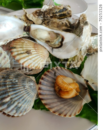 Steamed scallops and oysters Steamed scallops and oysters 70251526