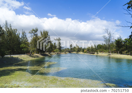 台東森林公園琵琶湖 台東森林公園琵琶湖 70251750