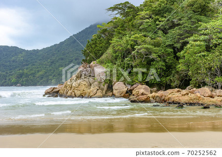 Meeting of the rainforest with the sea Meeting of the rainforest with the sea 70252562