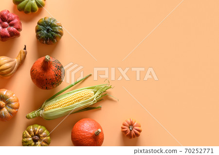 Autumn harvest, colorful pumpkins, corncob Autumn harvest, colorful pumpkins, corncob 70252771