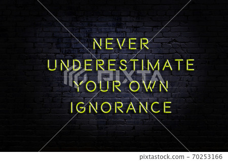 Wise quote. Neon inscription against brick wall 70253166