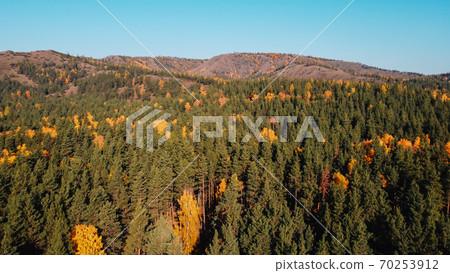 Autumn Colors. image of trees in the forest Autumn Colors. image of trees in the forest 70253912