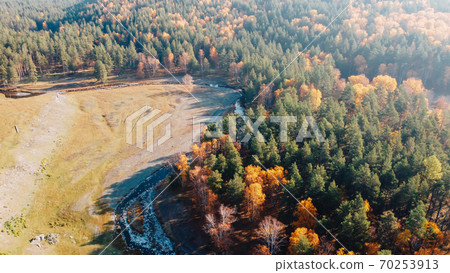 Autumn Colors. image of trees in the forest 70253913