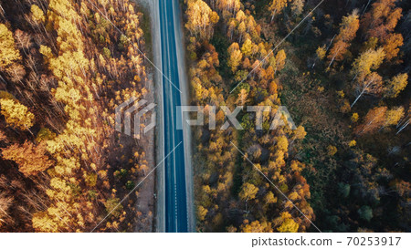 Beautiful road in the autumn forest Beautiful road in the autumn forest 70253917