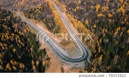 Beautiful road in the autumn forest Beautiful road in the autumn forest 70253922