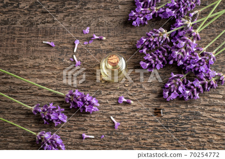 Essential oil bottle with fresh blooming lavender Essential oil bottle with fresh blooming lavender 70254772