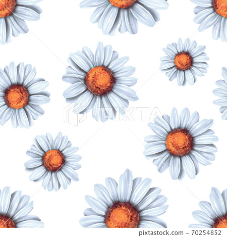 Seamless background with daisy flowers - Stock Illustration [70254852 ...