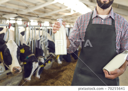 Cropped farmer holding bottles of fresh organic milk standing in cowshed on dairy farm Cropped farmer holding bottles of fresh organic milk standing in cowshed on dairy farm 70255641