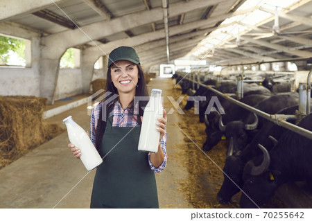 Happy young woman standing in cowshed, holding bottles of fresh milk and looking at camera Happy young woman standing in cowshed, holding bottles of fresh milk and looking at camera 70255642
