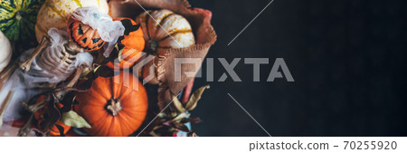 Pumpkins and skeleton pumpkin bride 70255920
