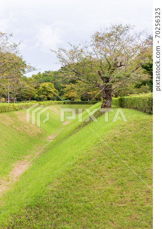 Sakura Castle Ruins Park 70256325