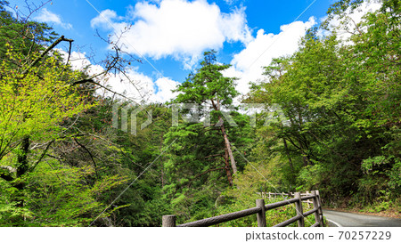 Famous place for strange rocks and mysterious stones Early autumn in Shosenkyo, Kofu City, Yamanashi Prefecture 70257229