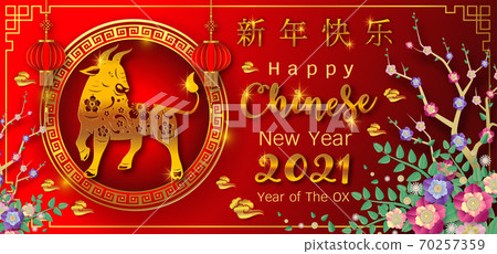 Chinese new year 2021 year of the ox 70257359