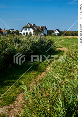 rural reed house on isle of Hiddensee rural reed house on isle of Hiddensee 70258609