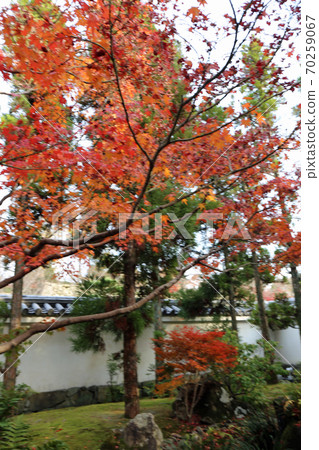 秋天秋天庭院 秋天秋天庭院 70259067