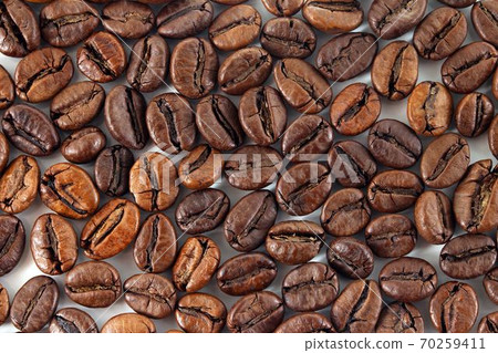 coffee beans on white background 70259411