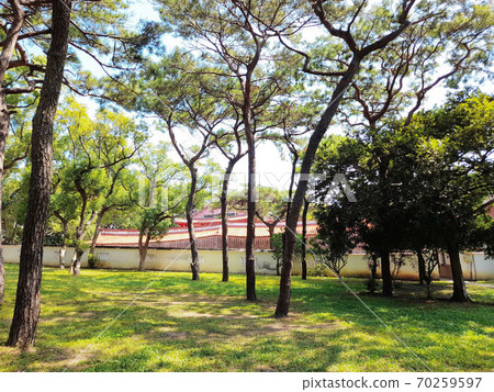 Hsinchu City Historic Site Zongmiao Folk Customs Hsinchu City Historic Site Zongmiao Folk Customs 70259597