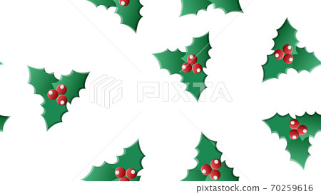 Vector green, red holly berry and mistletoe Vector green, red holly berry and mistletoe 70259616