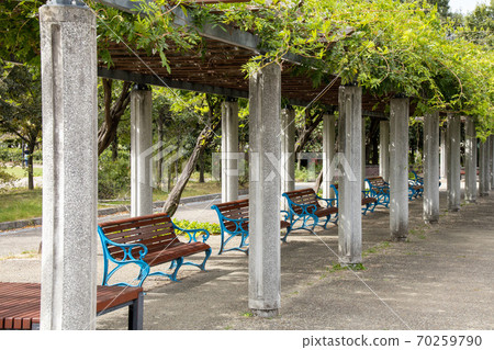 藍色的長椅上綠色貨架下排成一列 70259790