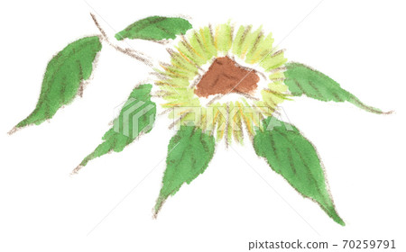 成為分支機構的伊加格里 70259791