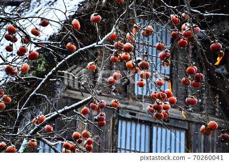 Remaining persimmon (Shirakawa-go) Remaining persimmon (Shirakawa-go) 70260041