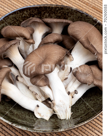 牡蠣蘑菇 70260088