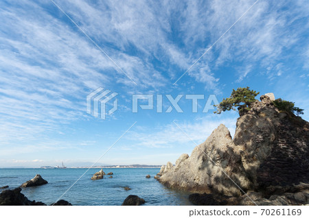 Natural scenery Morito coast with beautiful reefs and pine trees Hayama Town, Kanagawa Prefecture 70261169