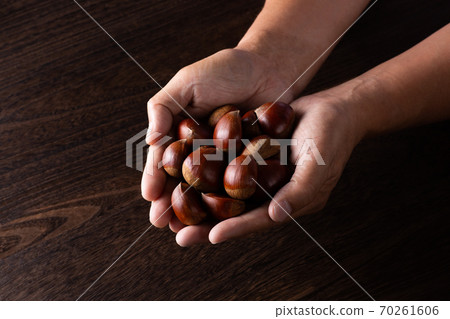 Chestnut  70261606