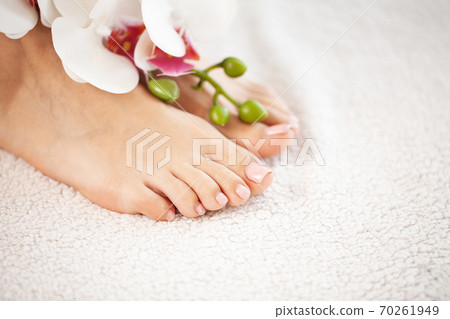 Long legs of a woman with a fresh manicure and orchid flowers Long legs of a woman with a fresh manicure and orchid flowers 70261949
