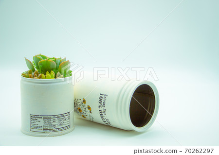 翻新的罐裝多肉植物，手工製作的美人蕉和七個吉祥神 70262297