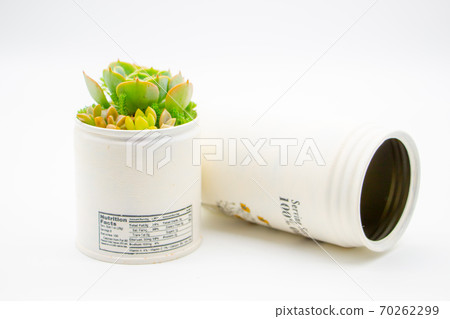 Remake of succulents Canned group planting Handmade remecan and seven deities of good fortune 70262299