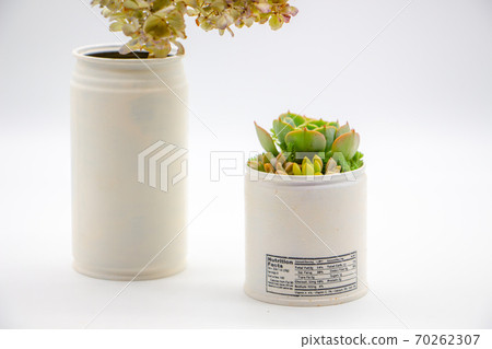 Remake cans of succulents and dried hydrangea flowers 70262307