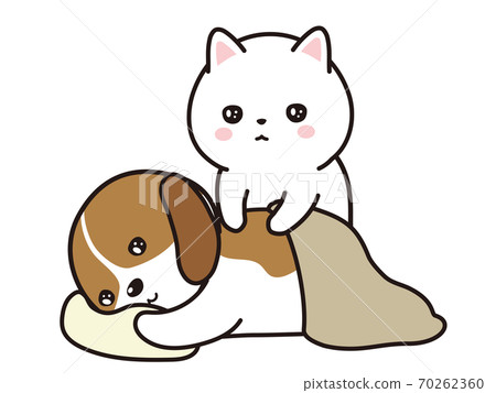 比格犬寵物寵物進行手法治療 70262360