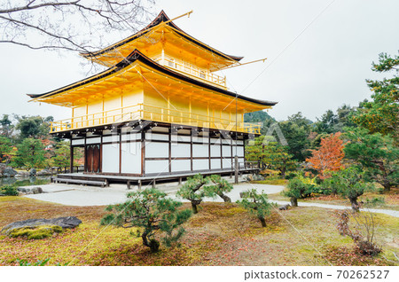 Golden pagoda and tree in the park at Kinkakuji Temple, Kyoto, Japan. Golden pagoda and tree in the park at Kinkakuji Temple, Kyoto, Japan. 70262527