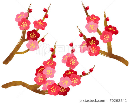 梅花水彩風格插圖集 70262841