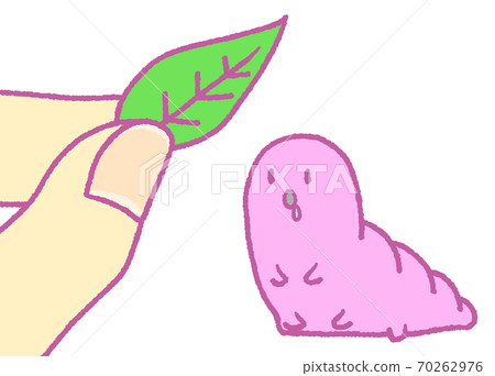 Caterpillar staring at the leaves (pink) Caterpillar staring at the leaves (pink) 70262976