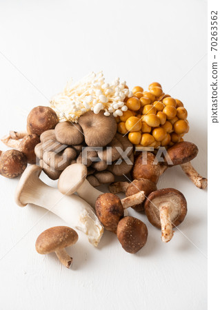 各種食用菌 各種食用菌 70263562