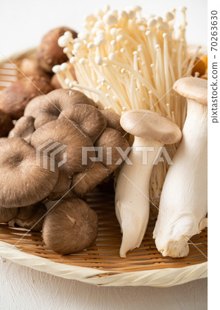 Various edible mushrooms 70263630