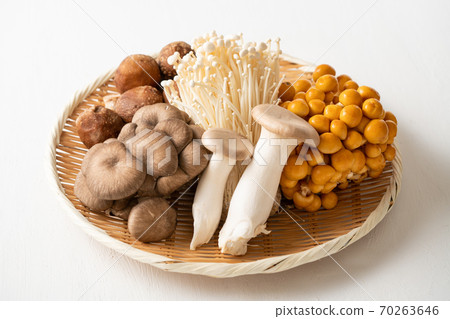 Various edible mushrooms 70263646