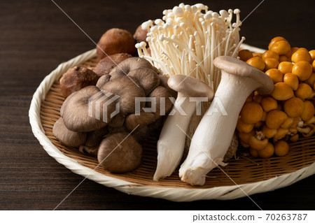 Various edible mushrooms Various edible mushrooms 70263787