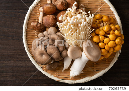 Various edible mushrooms Various edible mushrooms 70263789